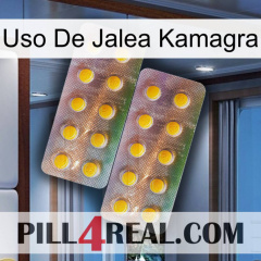 Kamagra Jelly Use new10